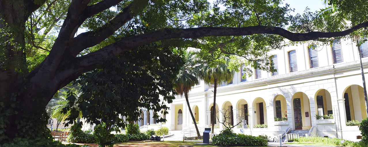 imagem do jardim do museu